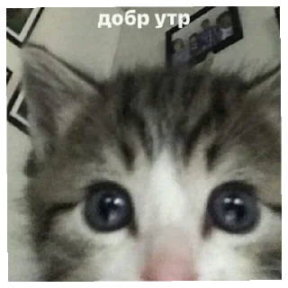 Sticker from здорово жить 👆