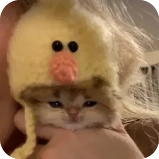 🤩 emoji @EARTH928B <- БОЛЬШЕ Telegram sticker 17 of 67
