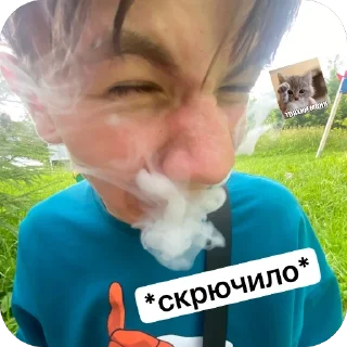 😭 emoji че с деньгами? Telegram sticker 18 of 26