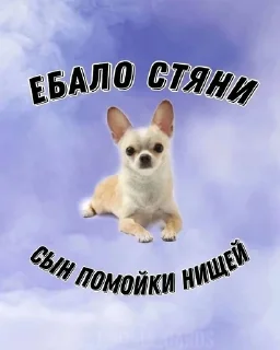 🌟 emoji F/T Telegram sticker 3 of 28