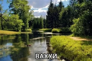 🫢 emoji ашалеть Telegram sticker 2 of 10