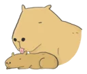 💞 emoji Hey Capibara! Telegram sticker 22 of 40
