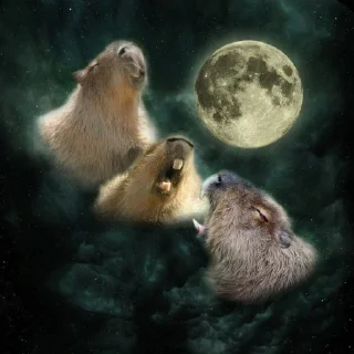 Sticker from capibara