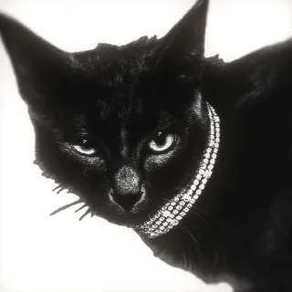 🌟 emoji ꜝꜞ ᳝ ࣪ 𝐴r̲i̲ś 𝑐𝑢𝑡𝑙𝑒𝑡 › ࣪˖ @ar1sih Telegram sticker 5 of 120