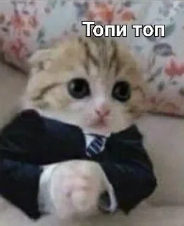 Sticker from ТОПИ ТОПП
