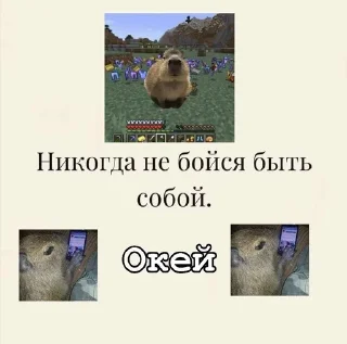 😸 emoji Капибары 2 @QaXalOp @Unigwers Telegram sticker 13 of 26
