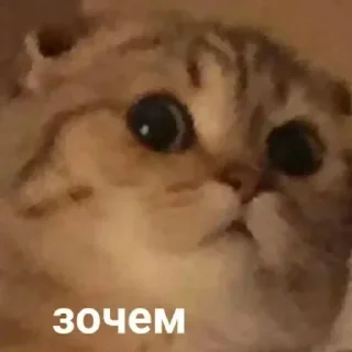 🙊 emoji Батя Telegram sticker 9 of 13