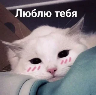 ♥️ emoji Батя Telegram sticker 11 of 13