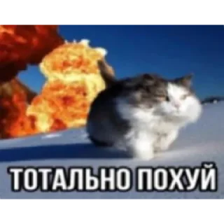 Sticker from Солянка