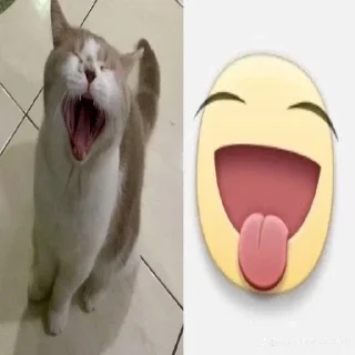 😝 emoji рофляночка @giypirno Telegram sticker 1 of 51