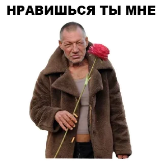 😣 emoji Дичь. Начало Telegram sticker 11 of 83