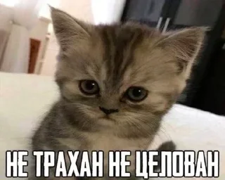 😂 emoji блелеле Telegram sticker 11 of 120