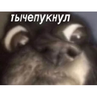 ❤️ emoji Создай стикеры 👉🏻 @EmojiRuBot Telegram sticker 21 of 26