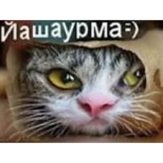 ❤️ emoji Создай стикеры 👉🏻 @EmojiRuBot Telegram sticker 18 of 26