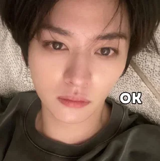 🌟 emoji #яникс #хелпотяникс #минхо Telegram sticker 15 of 27