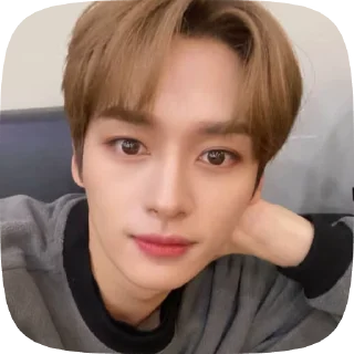 🌟 emoji ★ I| ᥣᥱᥱ κᥒ𖹭ᥕ. 🐈 @maoooq. Telegram sticker 8 of 30