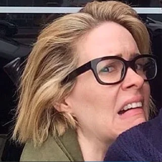 🥴 emoji sarah paulson Telegram sticker 23 of 44