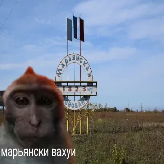 🏡 emoji вахуи Telegram sticker 12 of 12