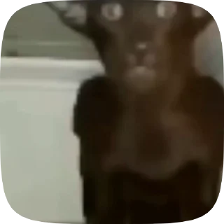 🐱 emoji Анимемы (@ZAZiOs) Telegram sticker 20 of 46