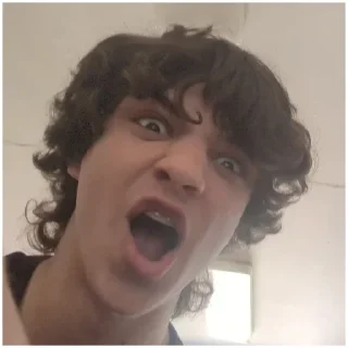 🥷 emoji Даник веник Telegram sticker 8 of 19