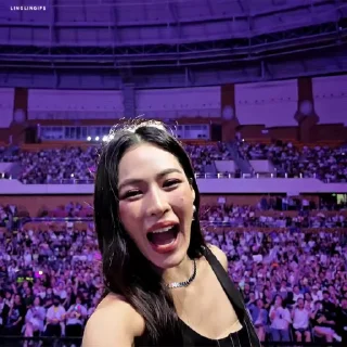 🌟 emoji @besdushnayaaa Lingling Kwong Telegram sticker 20 of 119