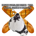 👆 emoji Pigeon and philosophy Telegram sticker 7 of 15