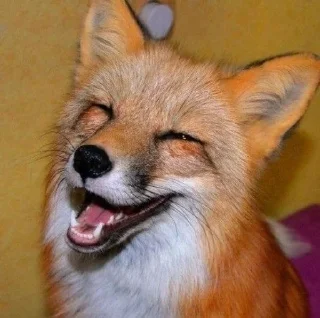🌟 emoji The Fox @AttackOfTendern3ss Telegram sticker 7 of 108