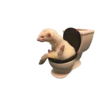 🚽 emoji Cute Telegram sticker 17 of 24