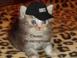 Sticker from Хурму будешь?