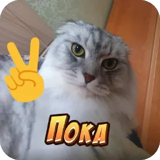 🫥 emoji васян умер в авиакатастрофе 2026 году с артистом oliver tree Telegram sticker 3 of 65