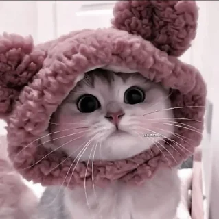 💋 emoji котики💗 Telegram sticker 17 of 19