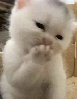 🤗 emoji манечка топ 💗 Telegram sticker 19 of 28