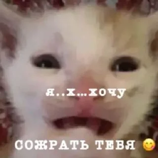 🌟 emoji Важные переговоры Telegram sticker 11 of 21