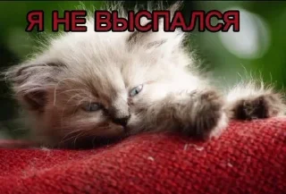 🌟 emoji метадоновый передоз Telegram sticker 7 of 28