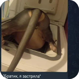 Sticker from Костик