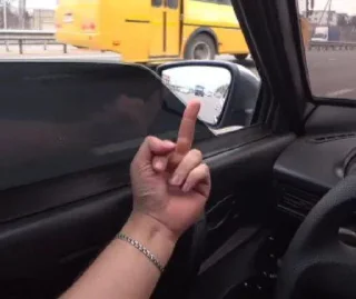 🖕 emoji Волков Telegram sticker 24 of 41