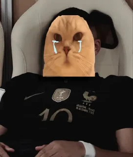 🤩 emoji Легендо до Telegram sticker 18 of 88