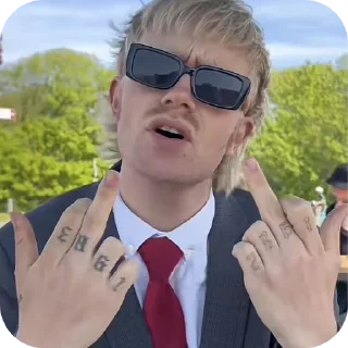 🖕 emoji joost klein Telegram sticker 22 of 97