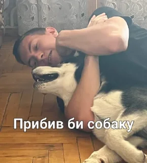 Sticker from Люди более