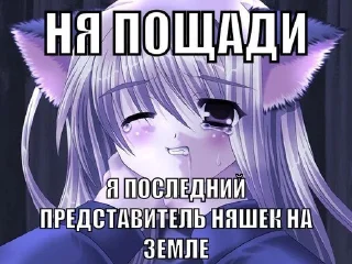 🐈 emoji Для няшек Telegram sticker 22 of 49