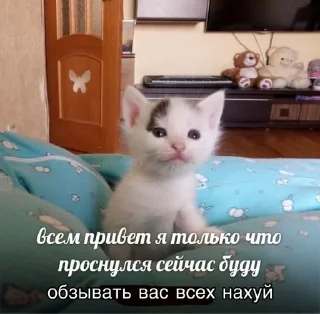 🌟 emoji Агро котики Telegram sticker 5 of 45