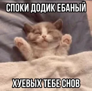 🌟 emoji Агро котики Telegram sticker 12 of 45