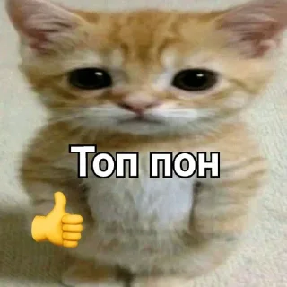 👍 emoji Пон Telegram sticker 9 of 21