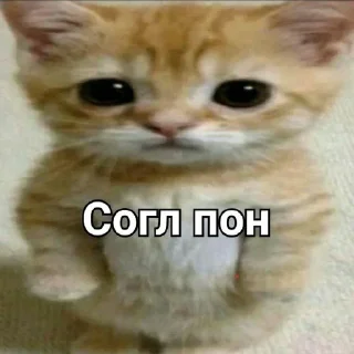 👍 emoji Пон Telegram sticker 18 of 21