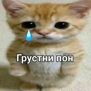 😭 emoji Пон Telegram sticker 14 of 21