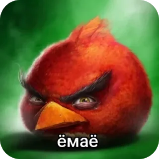 Sticker from Сборник хуйни и птички