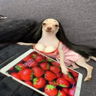 💅 emoji сраный огурец Telegram sticker 10 of 120