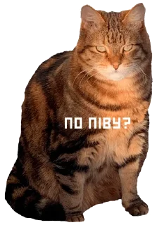 😏 emoji мася Telegram sticker 5 of 17