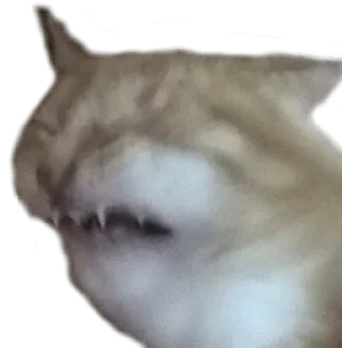 😒 emoji С К Р Э Г Telegram sticker 19 of 103