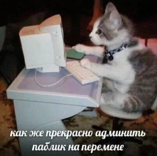 📱 emoji рандомная поебота Telegram sticker 10 of 38